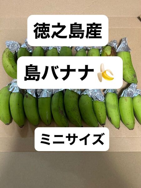 徳之島産 島バナナ 農薬不使用 自然栽培 国産