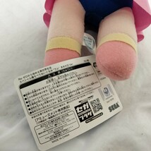 リゼロ　Re:ゼロから始める異世界生活 メガジャンボ寝そべりぬいぐるみ 　ラム　 あめの日ver.　30cm　231123_画像6