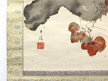 【GINZA絵画館】石崎光瑤　日本画「秋林飛禽」軸装・共箱・近代日本画巨匠の１点もの　Y56X0H0G9F3N1B_画像4
