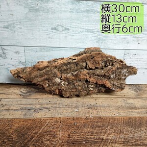 【送料無料】 現品　バージンコルク Mサイズ　樹皮　約400g　W30cm×D13cm×厚み6cm　着生ラン　エアープランツ