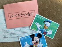 東京ディズニーリゾート　スポンサーパスポート 2枚セット_画像2