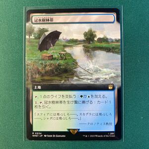 【1円出品】【拡張　冠水樹林帯】ドクター・フー コレクター・ブースター 日本語版　MTG マジック：ザ・ギャザリング