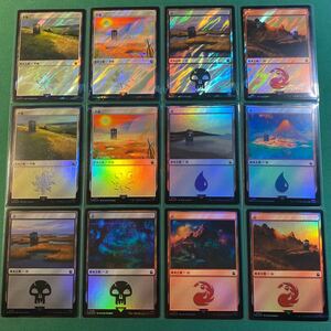 【1円出品】【サージFoil含む基本土地12枚セット】ドクター・フーコレクター・ブースター MTG マジック：ザ・ギャザリング平地　島　沼　山