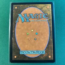 【1円出品】【Foil 夢根の滝】ドクター・フー コレクター・ブースター 日本語版　MTG マジック：ザ・ギャザリング_画像2