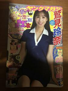 週刊ヤングマガジン 2023年3月20日号 2023/3/20 No.14 鷲見玲奈 斉藤里奈 他にも雑誌,DVD,写真集,カレンダーなどを大量出品中!!