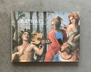 Raphael The Stanza Della Segnatura 洋書 ラファエルロ ルネサンス 芸術 美術