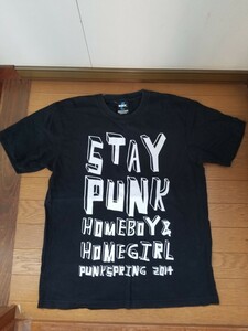 punkspring short sleeves T-shirt punk springs 2014fest- shirt 10-feet mwam used old clothes beautiful goods anonymity delivery 