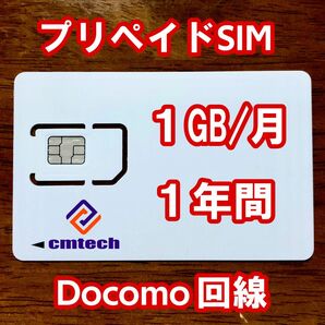 Docomo回線 プリペイドsim 1GB/月1年間有効 データ通信simカード