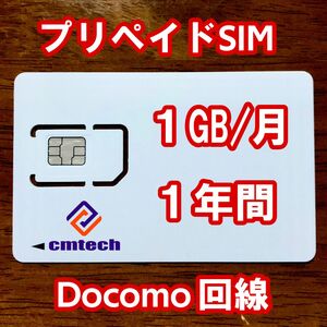 Docomo回線 プリペイドsim 1GB/月1年間有効 データ通信simカード