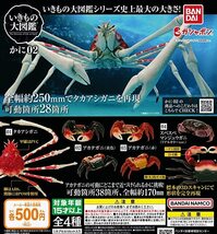 いきもの大図鑑 かに02 タカアシガニ1種単品　ガシャポン_画像2