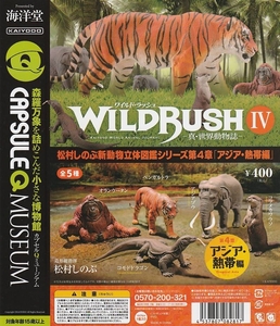 カプセルＱミユージアム 真・世界動物誌「ワイルドラッシュ」4 アジア・熱帯編【台紙】POP