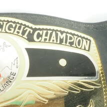 ビンテージ NWA世界ヘビー級王座チャンピオンベルト レプリカ 2000年代 FTO511_画像4
