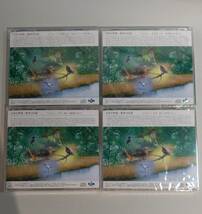 7CD BOX / CD未開封! / 日本の野鳥・歌声100選 / 全7巻セット / Melody of Birds / 解説書付き / OCD-59001 / 30014_画像4