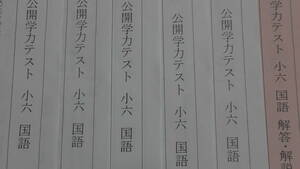 (最新) (2020年度) 浜学園 (小6) 公開学力テスト 1年分 (国語)　6年生