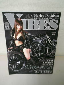 ▲▽　　 VIBES (バイブズ) 2022 年12月 Vol.350　モデル：蘭々　　　△▼