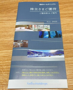 ◆◇送料込◆西武ホールディングス 株主優待冊子1冊（グレー） 共通券5000円分 ゴルフ割引 レストラン割引等 ◇◆