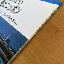 天野礼子・D ブラウアー「長良川から見たニッポン」岩波ブックレット313 岩波書店_画像2