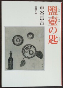 車谷長吉『鹽壺の匙』新潮文庫