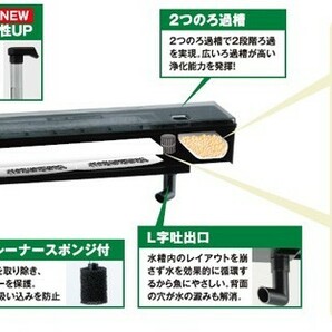 送料無料 ＧＥＸ ラピレスRV60DT LEDセット 60cm曲げガラス水槽・熱帯魚飼育セット 北海道・沖縄・離島、別途送料の画像3