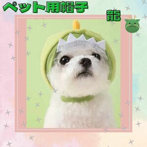 《セール価格》ペット用 帽子 辰 龍 ドラゴン ハロウィン 仮装 年賀状 犬 猫 M