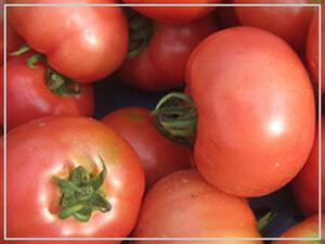 ［送料無料・オーガニック・種］大玉トマト 10粒◆自然栽培 自然農 農薬不使用 固定種