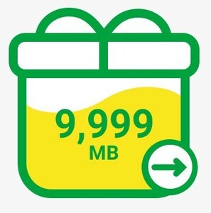 mineo マイネオ パケットギフト ほぼ10GB（9999MB）分【即応可】