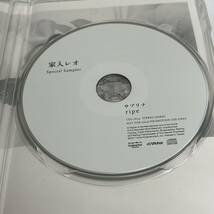 激レア 非売品 2枚組 邦楽 CD DVD家入レオ サブリナ ripe 希少 人気 廃盤 絶版 インディーズ_画像6