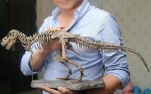 新入荷 生き物 70cm ティラノサウルス レックス ジュラシック 大恐竜 化石 骨 モデルキット プラモデル キット 組み立て式_画像1