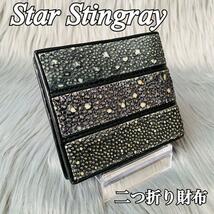 超希少★スタースティングレイ/新品/メンズ/レディース/長財布/ゴールドファスナー/エイ革/ブラック/黒/ラウンド/レザー2_画像1