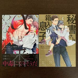 秘書さんと箱入り息子　アイドルαは番わない　ヨルノラテ　2冊セット