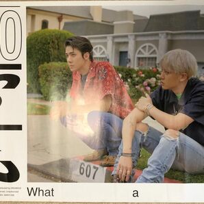 EXO SC WHAT A LIFE ポスター キノ　公式