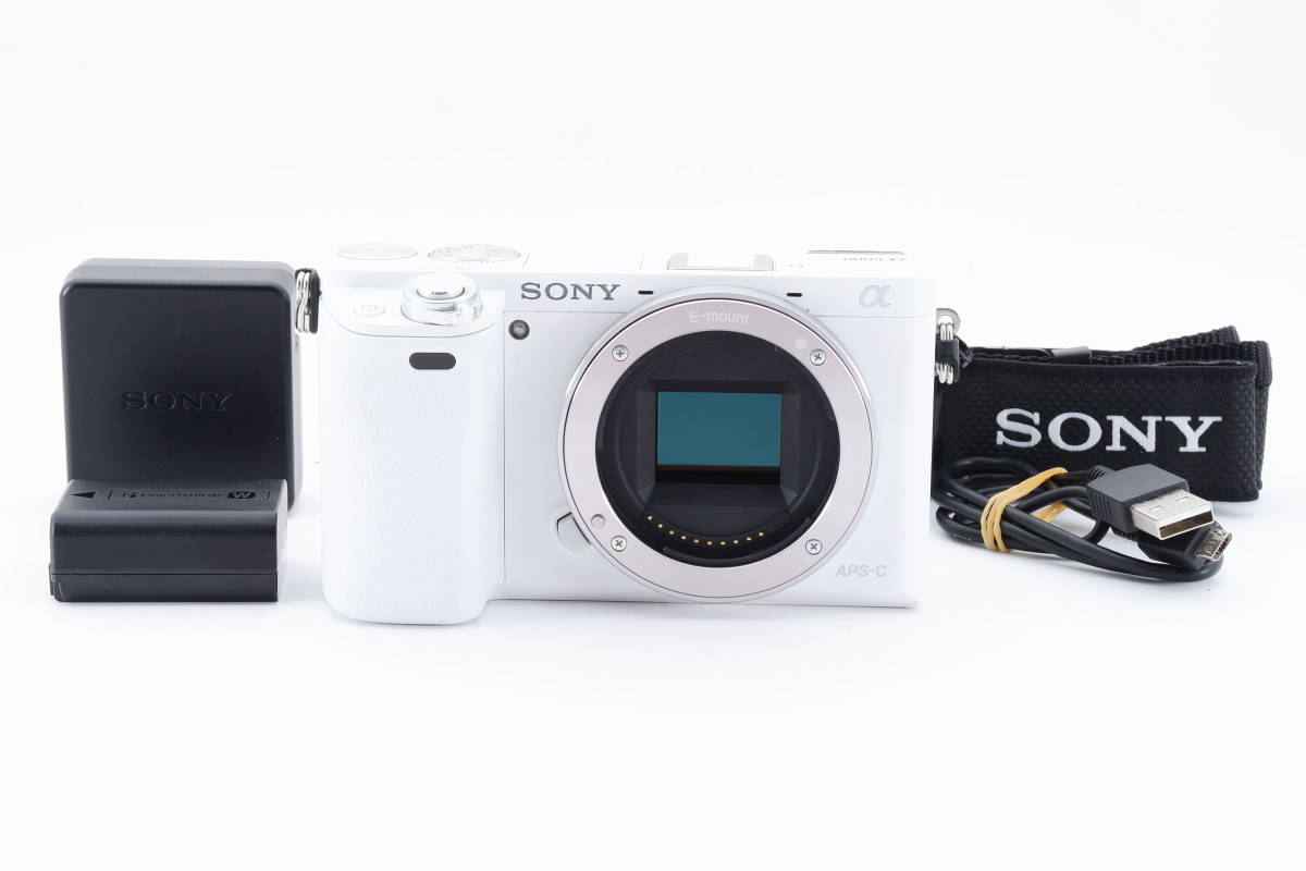 2023年最新】Yahoo!オークション -sony α6000の中古品・新品・未使用品一覧