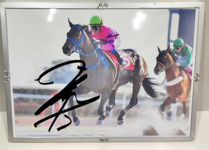 田口貫太騎手直筆サインパネル　サンマルパトロール　JRA交流競走　朧月特別　笠松競馬場　初勝利【悲報】KANが亡くなったのでKANTAでも