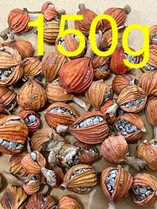 沖縄産無農薬栽培　月桃の実（ドライ）げっとう150g