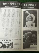 全日本プロレスパンフレット/1972年旗揚げジャイアントシリーズ/スタンプ有り/昭和レトロ・ビンテージ/馬場　サンマルチノ　テリー_画像7