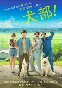 犬部! レンタル落ち 中古 DVD