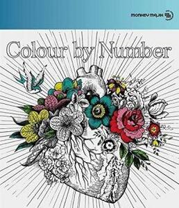 Colour by Number レンタル落ち 中古 CD