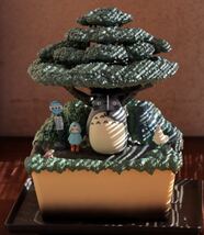 【新品】となりのトトロ ウォーターガーデン BONSAI 笠宿　どんぐり共和国　スタジオジブリ　ジブリパーク　ベネリック 盆栽_画像4