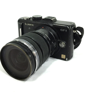 Panasonic LUMIX DMC-GF1 M.ZUIKO DIGITAL 12-50mm 1:3.5-6.3 ミラーレス一眼カメラ QX121-12