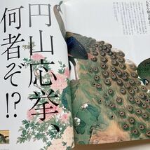 和楽（わらく）2013年3月　楽吉左衛門 楽茶碗の魅力／「茶の湯」A to Z 事典／ 国宝の名茶室／円山応挙（10Pのみ）★別冊特別付録なし★_画像9