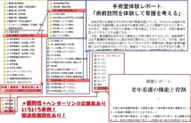 USBメモリ版★2023年最新！増量！★らくらく看護過程の展開★基礎実習~領域実習体験レポ　看護計画　病態関連図　個別性現場資料 　その他_画像2