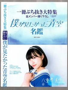 【付録のみ】 僕が見たかった青空 名鑑　一冊ぶち抜き大特集 Part1 全メンバー撮り下ろし　週刊ヤングジャンプ 2023年34号　YOUNG JUMP