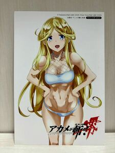 アカメが斬る! 零 文教堂・アニメガ特典 イラストカード コルネリア　(漫画 a72 タカヒロ 田代哲也