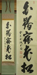 【こもれび】　掛軸★　藤井誡堂　『白鶴宿老松』　共箱　一行書　【大徳寺】