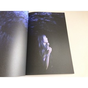 「Aimer/エメ Hall Tour 2022 Walpurgisnacht ツアーパンフレット」美品の画像8