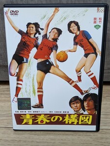 青春の構図　1976年 岡田奈々　秋野暢子　加納竜　早乙女愛　坂上二郎　森田健作他　レンタルDVD