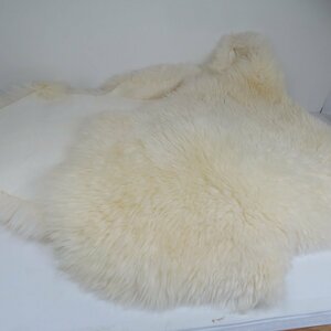 UGG Sheepskin Area Rug Double H26015G シープスキン エリア ラグ ダブル / 100 (SG012160)