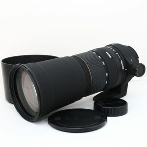 ☆良品・完動☆SIGMA 170-500mm F5-6.3 D APO DG ニコン用 Fマウント シグマ フルサイズ☆送料無料・保証付☆B702