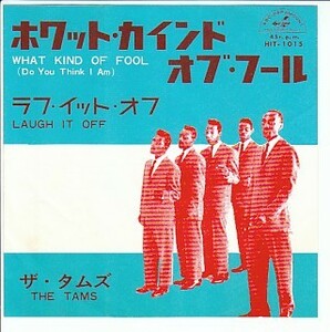 国内盤RAREシングル「ホワット・カインド・オブ・フール」ザ・タムズ THE TAMS・WHAT KIND OF FOOL / LAUGH IT OFF