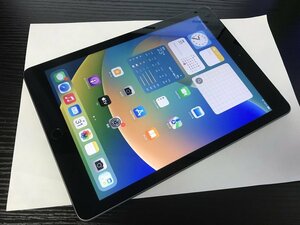 GH650 SIMフリー iPad 第5世代 Wi-Fi+Cellular 128GB スペースグレー